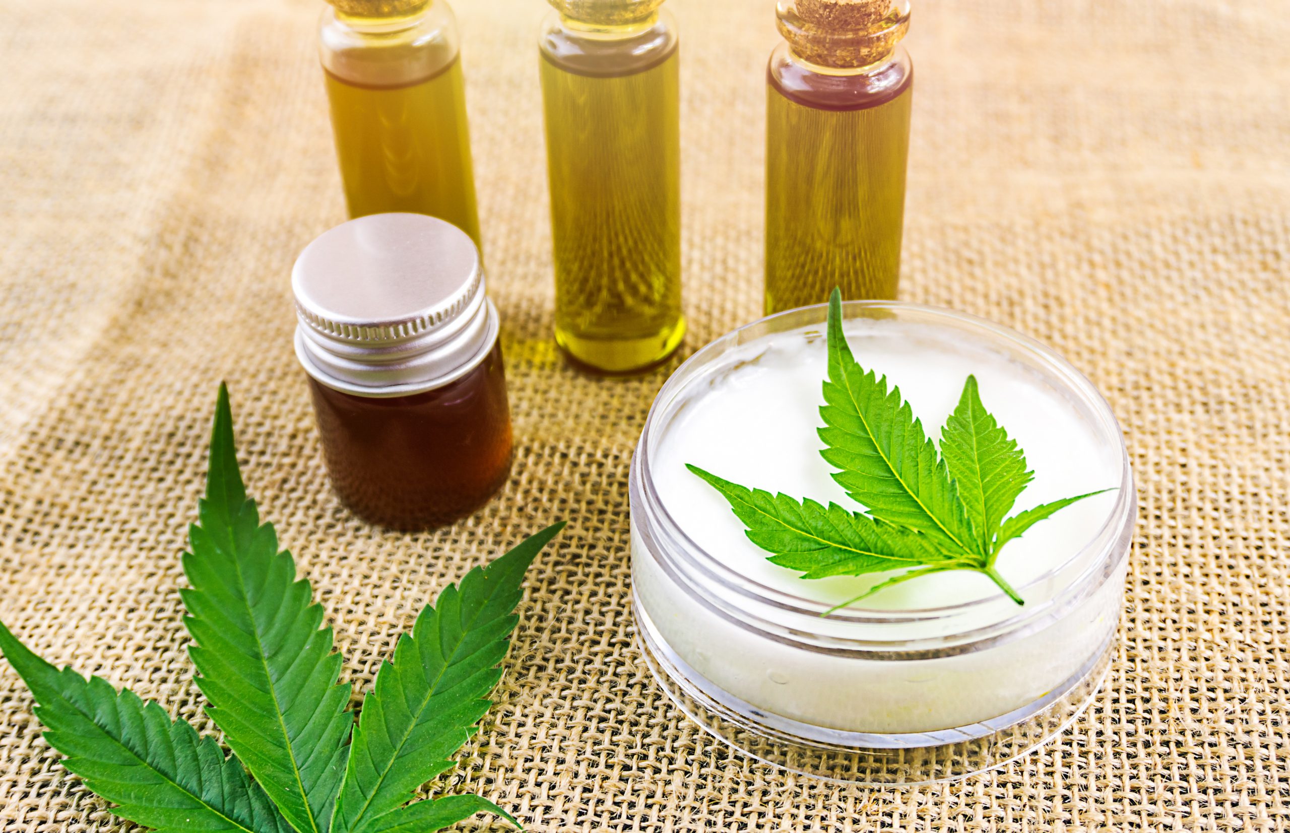 CBD pode futuramente ser utilizado para tratar obesidade