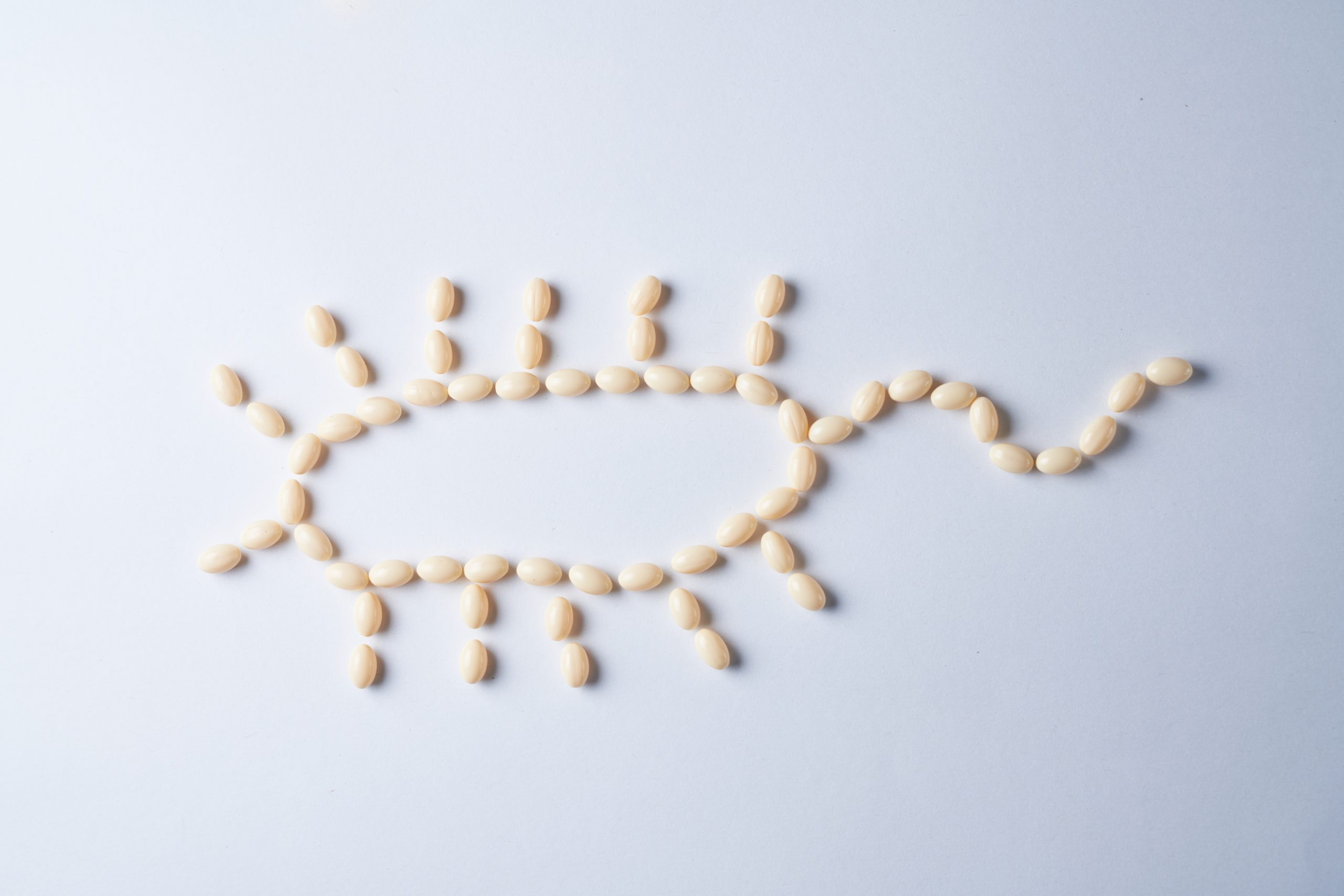 Microbiota intestinal tem papel importante no desenvolvimento da obesidade em certos indivíduos