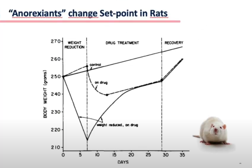 A terapia medicamentosa, em ratos, demonstrou uma maior eficiência na modulação da resposta do organismo a perda de peso.
