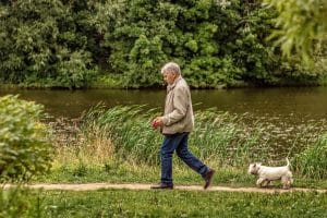 A caminhada é Uma Atividade Promissora para a Saúde Cerebral em Idosos