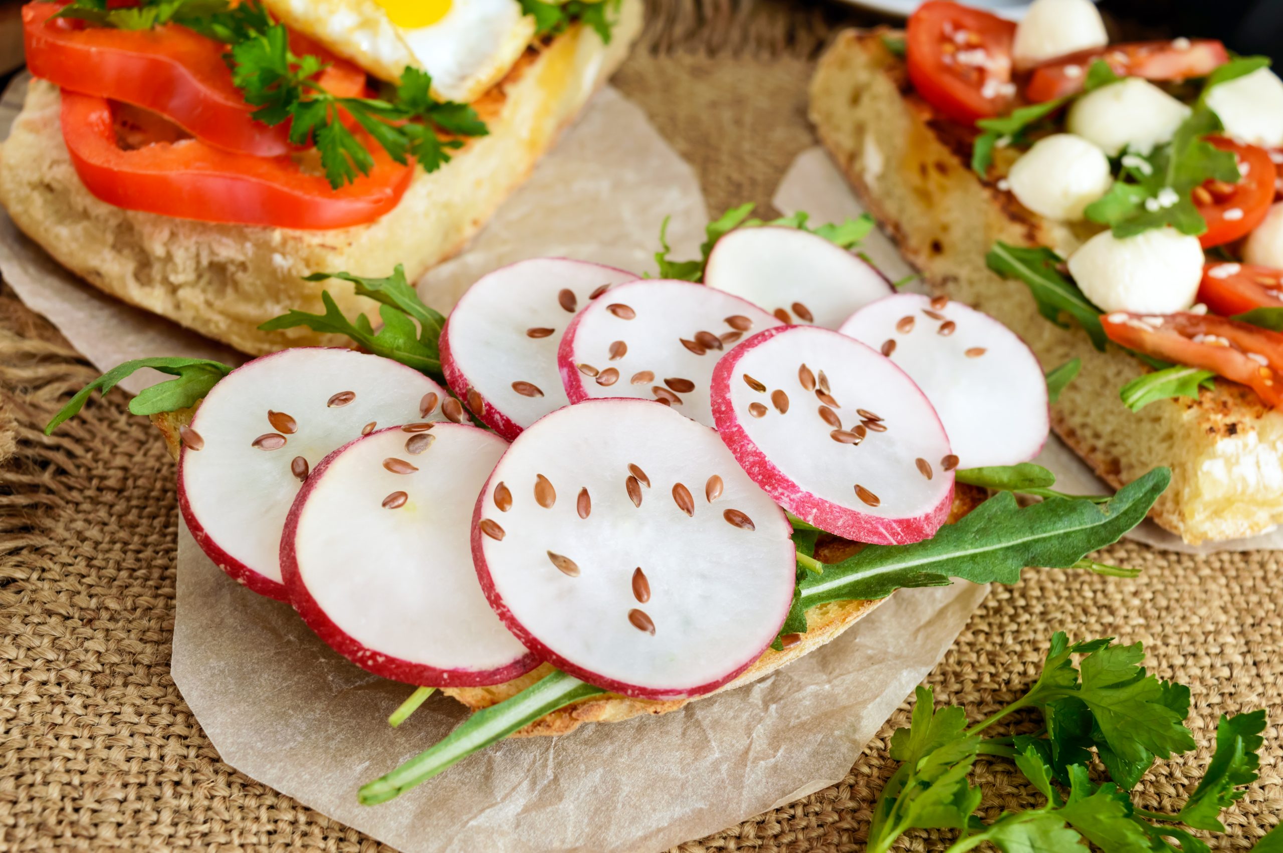 Dietas Veganas têm demonstrado impacto positivo na microbiota intestinal.
