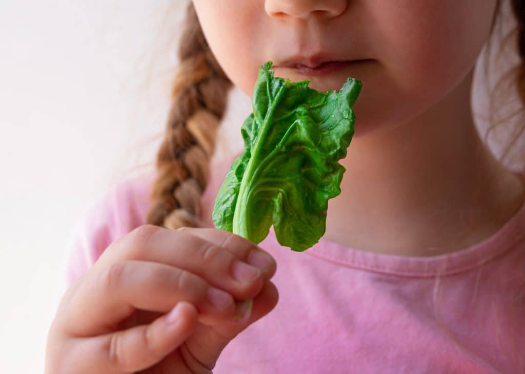 A adoção de dietas vegetarianas na infancia requer acompanhamento de um profissional, para evitar deficiências.