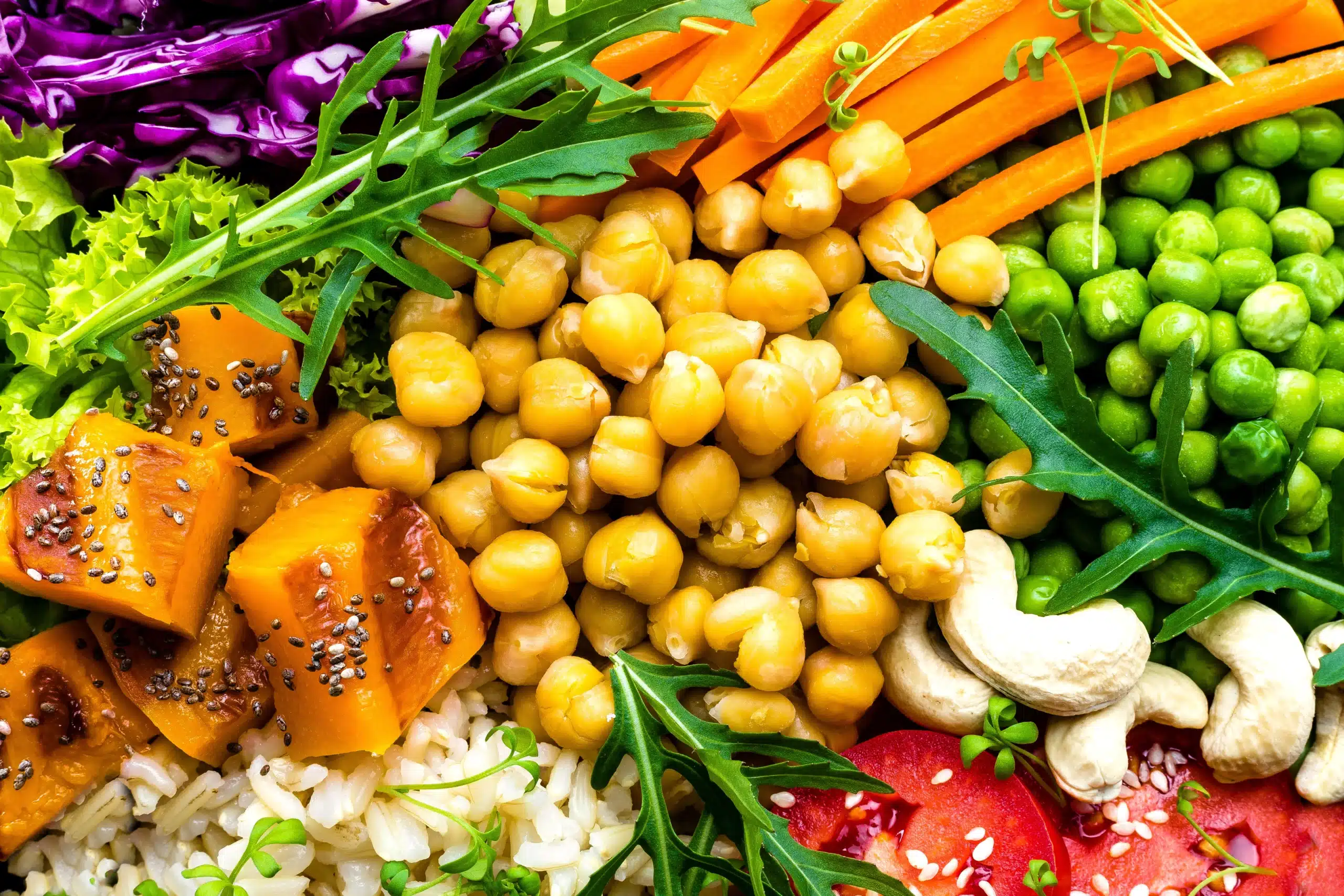 Médico orienta paciente sobre proteína em dietas vegetarianas, aminoácidos indispensáveis e fontes vegetais de proteína.
