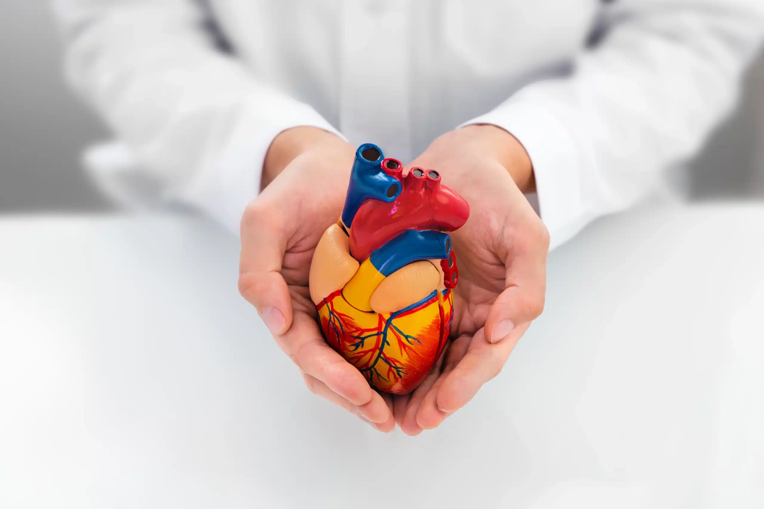 Ilustração médica da relação entre obesidade e insuficiência cardíaca com fração de ejeção preservada, destacando gordura visceral, inflamação e alterações cardíacas.